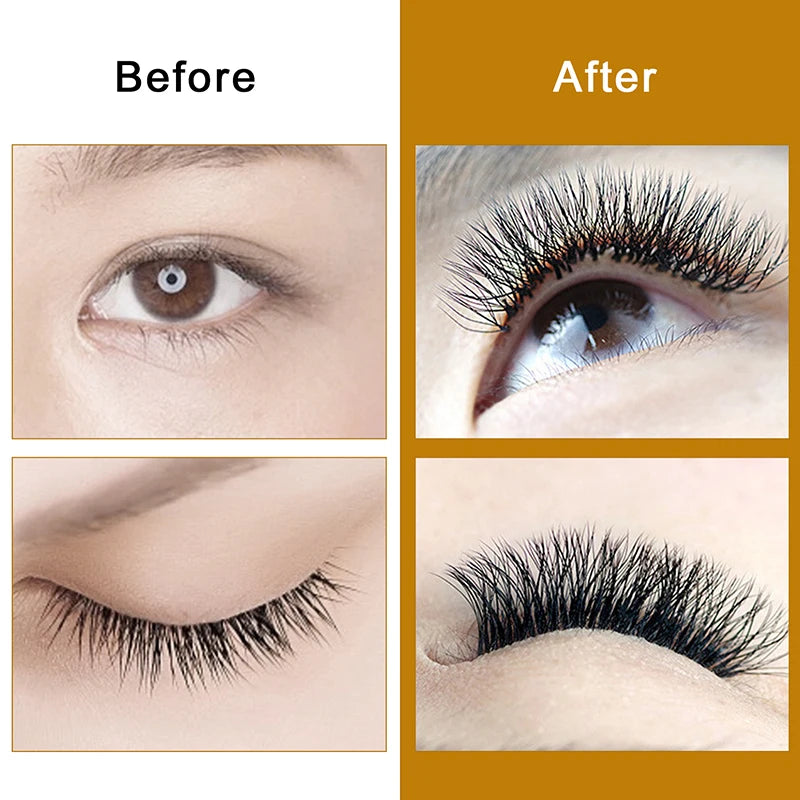 Quewel Double Tip 6D W Volume Faux Eyelash False Eye Lash CC/D/DD 8-15mm Mix Fan W Style New Individual Private Label Wholesale